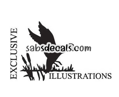 Exclusive Illustrations - Duck Stamp Logo