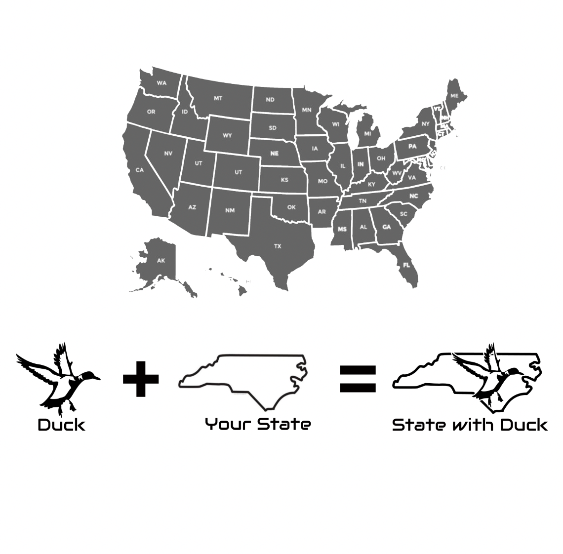 State with Duck